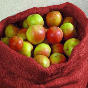 Produktbild für Jutesack NOOR S, 070601051PRT, rot