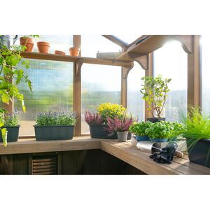 Produktbild für Gewächshaus Westmann Paul, 4,9 m² Fläche