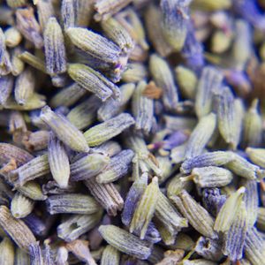 Produktbild für Mottenschutz Lavodia Lavendel-Duftsäckchen
