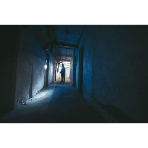 Produktbild für Taschenlampe Ansmann Daily 300B, LED, mit Batterie