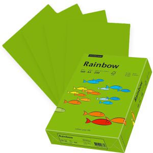 Kopierpapier Papyrus Rainbow 88042681