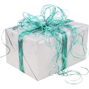 Produktbild für Geschenkband Präsent Raffia Pearl Multicolour blau