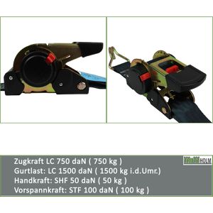 Produktbild für Spanngurt Trutzholm schwarz, mit Spitzhaken &amp; Ratsche