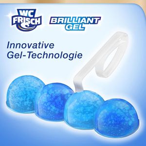 Produktbild für WC-Duftspüler WC-Frisch Brilliant Gel Arctic Ocean