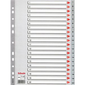 Produktbild für Register Esselte 100107, A4, 1-20