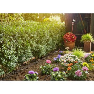 Produktbild für Micro-Drip-System Gardena Erweiterung Tropfrohr, 1362-20