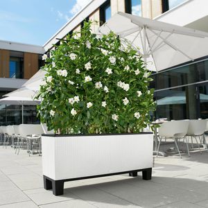Produktbild für Sockel Lechuza 15032, für TRIO 40