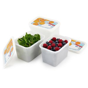 Produktbild für Frischhaltedose Rotho Domino, aus Kunststoff