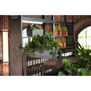 Produktbild für Blumenkasten Lechuza BALCONERA Stone 50, steingrau