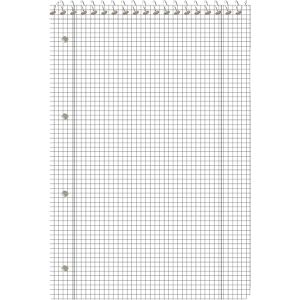 Produktbild für Notizblock Herlitz GREENline Ginkgo, 300006035, kariert, A7