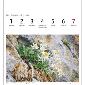Produktbild für Abreißkalender Harenberg 2105500, Alpen Sehnsuchtskalender
