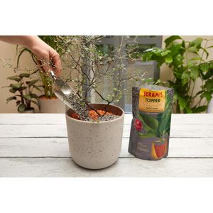 Produktbild für Pflanzsubstrat Seramis Topper Graphite, 1 Liter