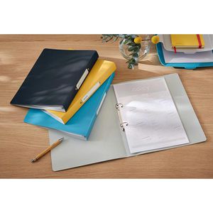 Produktbild für Ringbuch Leitz 4238-00-89, Cosy, A4