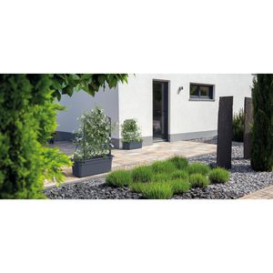 Produktbild für Pflanzkasten Prosperplast Bloma anthrazit