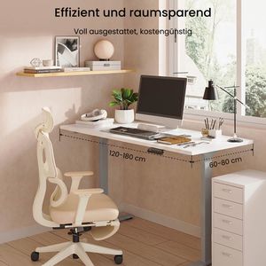 Produktbild für Schreibtisch FlexiSpot E1S Pro, weiß / grau