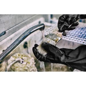 Produktbild für Chemikalienschutzhandschuhe Gebol Carostar