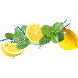 Produktbild für Tee Meßmer Cold Tea Zitrone-Minze mit Vitamin C