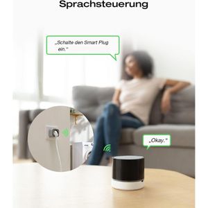 Produktbild für Smart-Steckdose Ecoflow Smart Plug, für innen