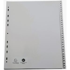 Register Exacompta 2931E, A4 Überbreite, 1-31