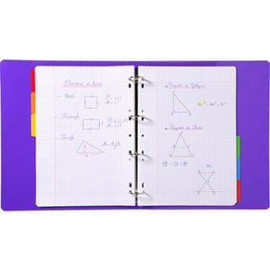 Produktbild für Register Exacompta 2306E, A4, blanko