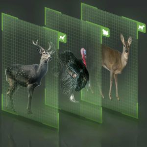 Produktbild für Wildkamera Reolink Go Series G450 SP2 LTE 4G