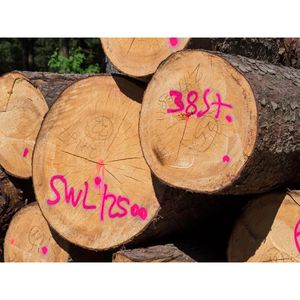 Produktbild für Markierungsspray Stanger Forst-Markierer, pink