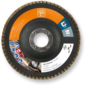 Produktbild für Fächerschleifscheibe Fein 63730024010
