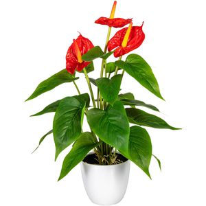 Produktbild für Kunstpflanze Creativ-green Anthurie rot
