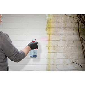 Produktbild für Grünbelagentferner Mellerud 2001002527, Algen Vernichter