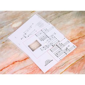 Produktbild für Dokumententasche Foldersys 40130-04, quadratisch