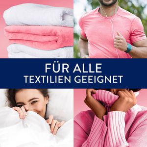 Produktbild für Wäscheparfüm Lenor Pfingstrose &amp; Hibiskusblüte