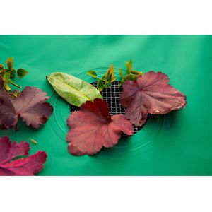 Produktbild für Regentonne Meister WU9968100, 250 Liter