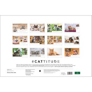 Produktbild für Bildkalender Heye 1130, Whiskas Cattitude, Jahr 2026
