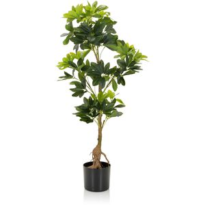 Produktbild für Kunstpflanze hJh-OFFICE Schefflera