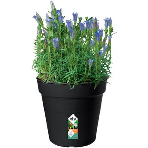 Produktbild für Pflanztopf elho Green Basics, 2,1 Liter