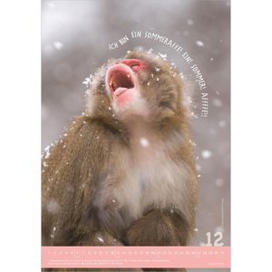 Produktbild für Bildkalender Alpha 117801, Tierisch Cool!, Jahr 2027