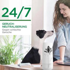 Produktbild für Raumduft Airwick Freshmatic Max, 250 ml