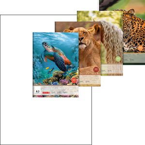 Zeichenblock Brunnen 104791309, A3