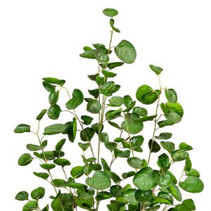 Produktbild für Kunstpflanze Creativ-green Fiederaralie